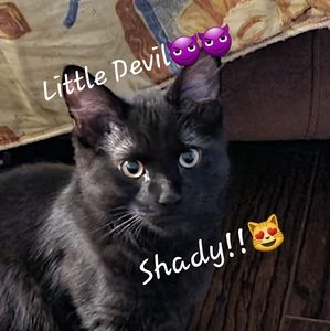 Meet your Posher, John jamie